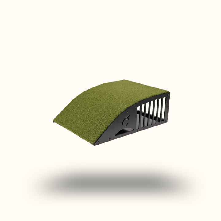 Green pet ramp on a white background